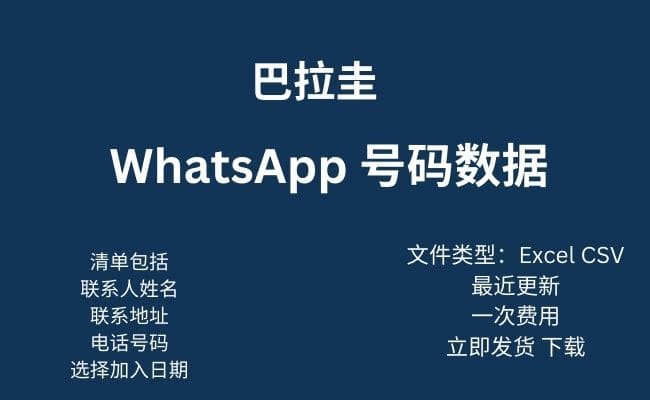 巴拉圭 WhatsApp 数据